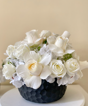 Load image into Gallery viewer, LUXE NOIR RANGE - LUXOR