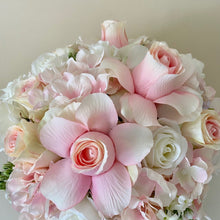 Load image into Gallery viewer, Kensington - Raya