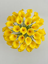 Load image into Gallery viewer, A Ray of Sun - Lillies