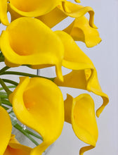 Load image into Gallery viewer, A Ray of Sun - Lillies