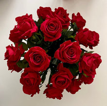 Load image into Gallery viewer, Adore