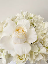 Load image into Gallery viewer, Grace