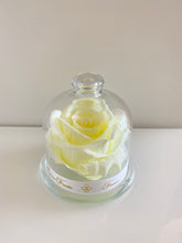 Load image into Gallery viewer, Belle's Rose Ivory