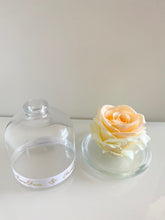 Load image into Gallery viewer, Belle's Rose Peach