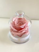 Load image into Gallery viewer, Belle's Rose Dusky Pink
