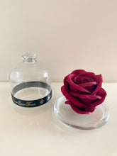 Load image into Gallery viewer, Belle's Rose Burgundy