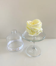 Load image into Gallery viewer, Belle's Rose Elegant Ivory