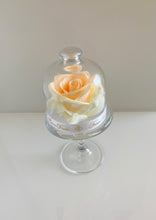 Load image into Gallery viewer, Belle's Rose Elegant Peach