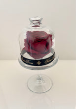 Load image into Gallery viewer, Belle's Rose Elegant Burgundy