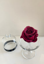 Load image into Gallery viewer, Belle's Rose Elegant Burgundy