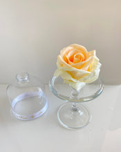Load image into Gallery viewer, Belle's Rose Elegant Peach
