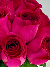 Load image into Gallery viewer, Venus Rose