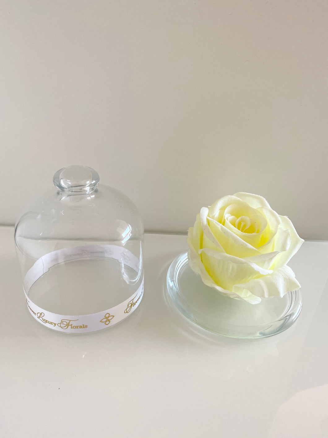 Belle's Rose Ivory