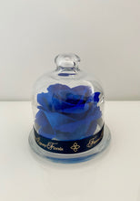 Load image into Gallery viewer, Belle&#39;s Rose Navy
