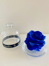 Load image into Gallery viewer, Belle&#39;s Rose Navy
