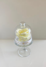 Load image into Gallery viewer, Belle&#39;s Rose Elegant Ivory
