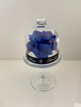 Load image into Gallery viewer, Belle&#39;s Rose Elegant Navy
